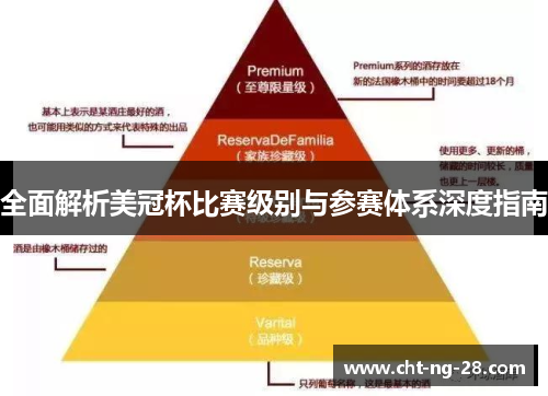 全面解析美冠杯比赛级别与参赛体系深度指南