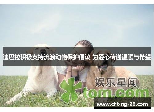 迪巴拉积极支持流浪动物保护倡议 为爱心传递温暖与希望