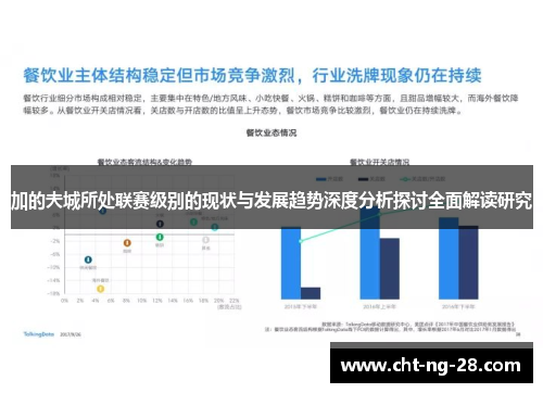 加的夫城所处联赛级别的现状与发展趋势深度分析探讨全面解读研究