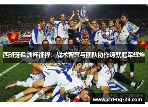 西班牙欧洲杯征程：战术智慧与团队协作铸就冠军辉煌