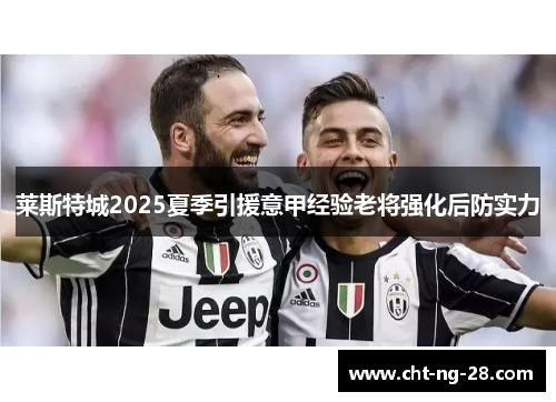 莱斯特城2025夏季引援意甲经验老将强化后防实力 莱斯特城2025夏季引援意甲经验老将强化后防实力