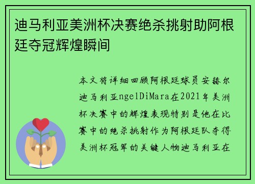 迪马利亚美洲杯决赛绝杀挑射助阿根廷夺冠辉煌瞬间 迪马利亚美洲杯决赛绝杀挑射助阿根廷夺冠辉煌瞬间